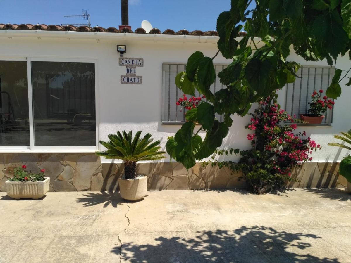 Caseta Del Chato Deltebre Exterior photo